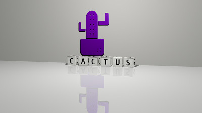 CACTUS的垂直3D图形图像，以及由金属立方体字母从顶部视角构建的文本，非常适合概念演示和幻灯片。