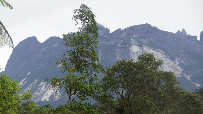 世界遗产基纳巴卢山国家公园