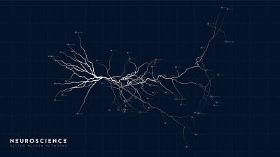 Neuron system model. Neural net structure. Researc