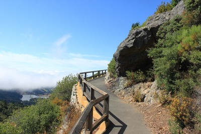 上山的小路
