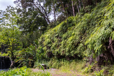 夏威夷毛伊岛俯瞰风景