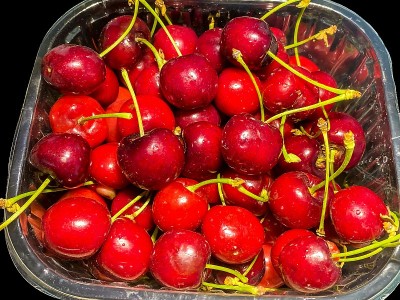 鲜红的樱桃装在塑料盒中，孤立在黑色上