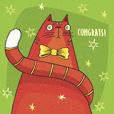 猫用黄色的弓和祝贺