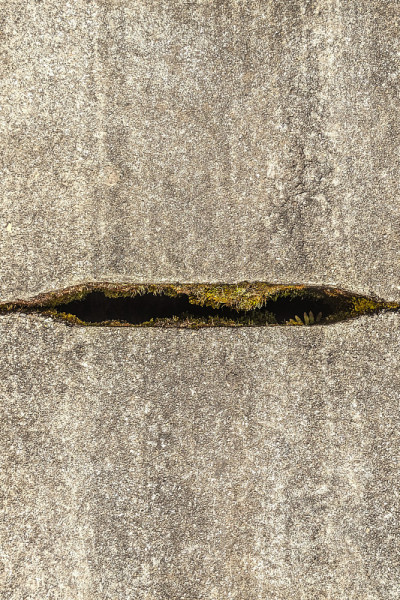 排水