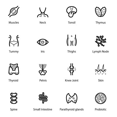 Human Anatomy Line Icons Pack