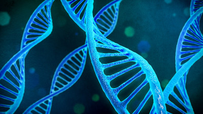 DNA脊柱，生物科学概念插图，3D渲染