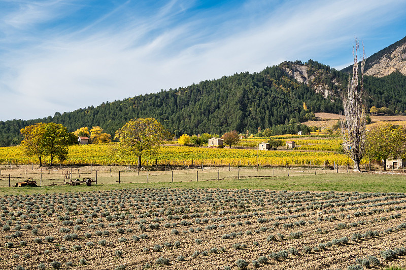 Chatillon en Diois村在Vercors自然区域公园，diis，德罗姆，法国