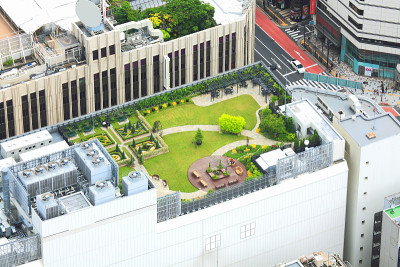 东京高层建筑屋顶花园