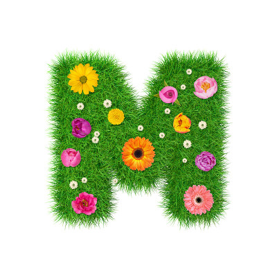 字母M由小草和五颜六色的花朵组成，以春季概念为平面设计拼贴。