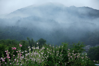 奥哈拉村