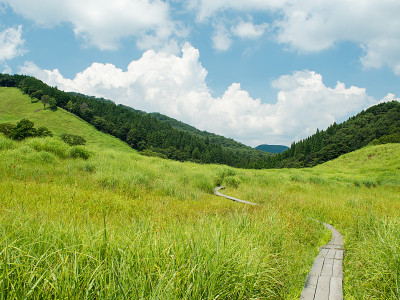 夏天山