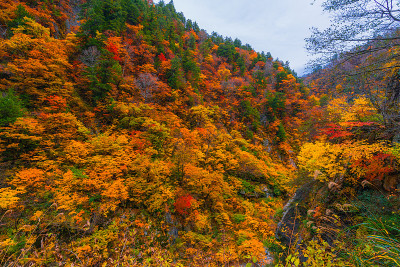 秋谷的风景