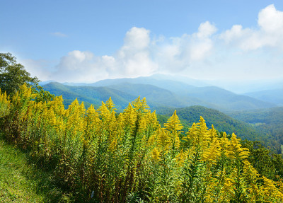 美丽的夏日山景。