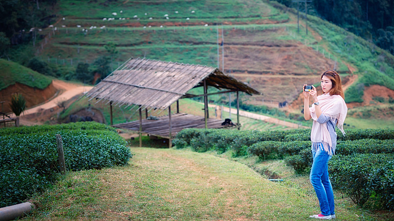 亚洲游客在泰国doiangkhang山的茶园