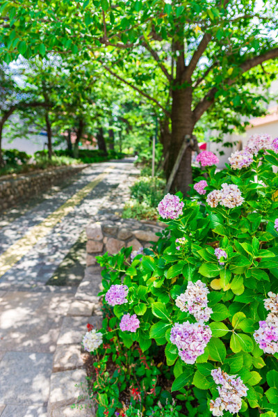 日本宝冢的花街