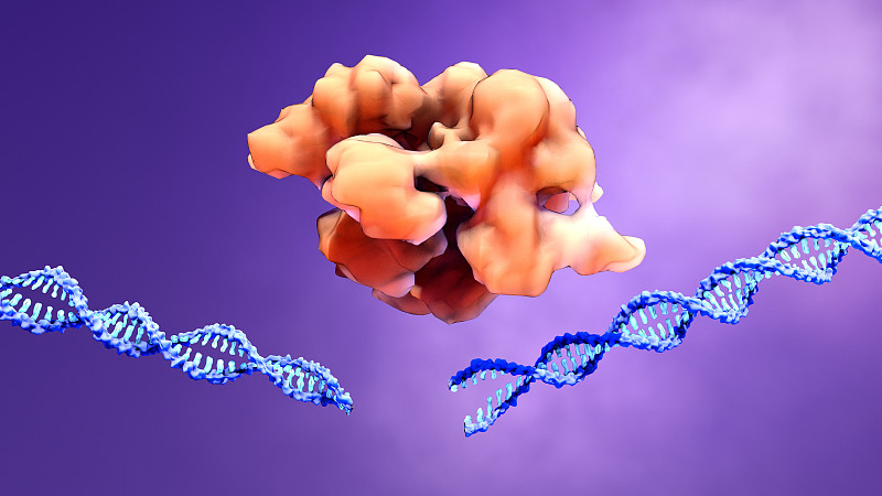 CRISPR-Cas9蛋白识别并剪切外来致病DNA