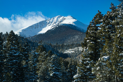 基督山的雪血