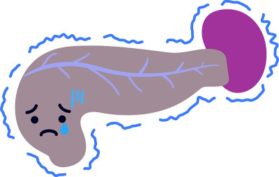 一个可爱的胰腺和脾脏的插图