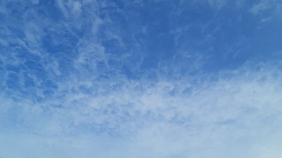 小朵白云散落在天空中。