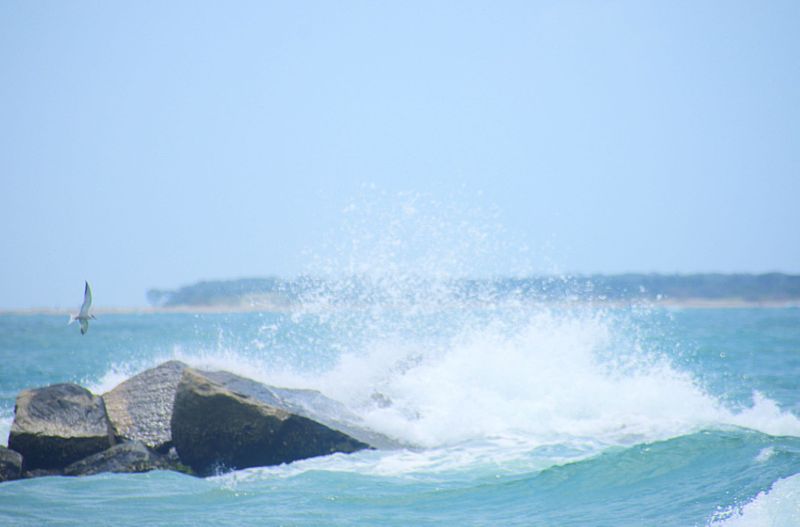 漂亮的海景