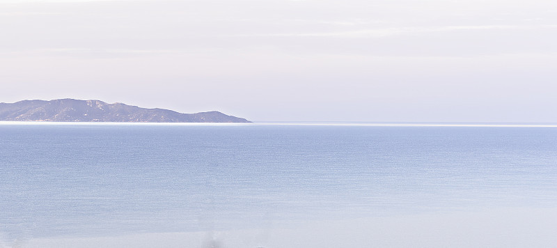 近海岸沼泽地森林公园
