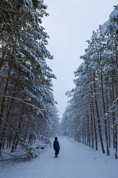 冬雪中的徒步旅行者