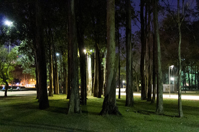Ibirapuera公园São巴西圣保罗