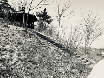 路