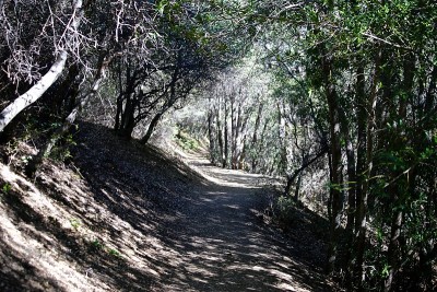 徒步旅行通过