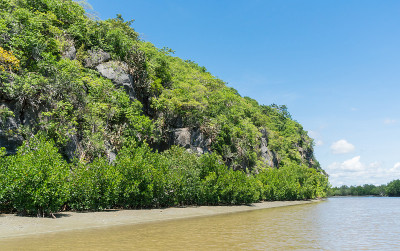 6 .绿树、蓝天、水、云、石、山、山