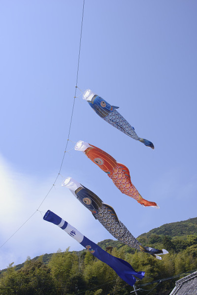 一条鲤鱼横幅“Koinobori”在天空中游动。