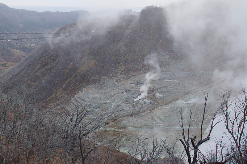 日本富士火山地区的硫磺云死亡森林