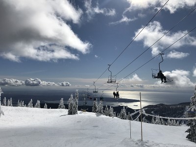 柏树山