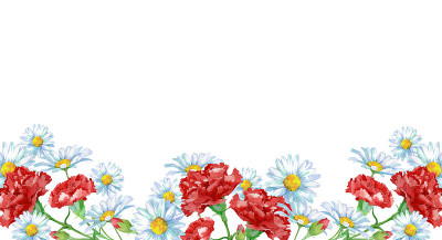 康乃馨和雏菊