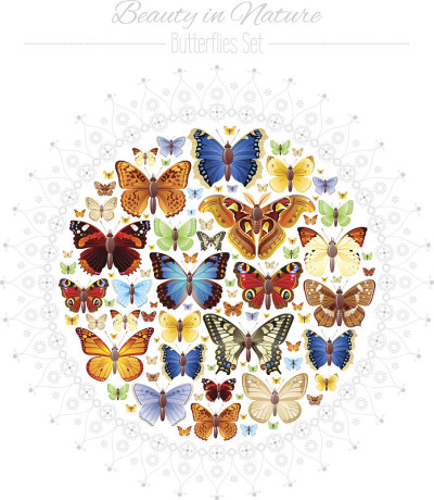 Butterlies图标设置