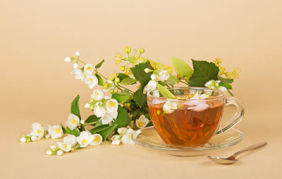 一杯花茶，茉莉花和菩提树枝