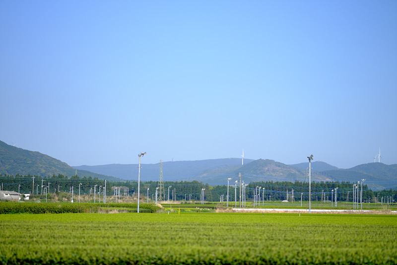 在一个阳光明媚的日子里，山川和茶园的美丽景色