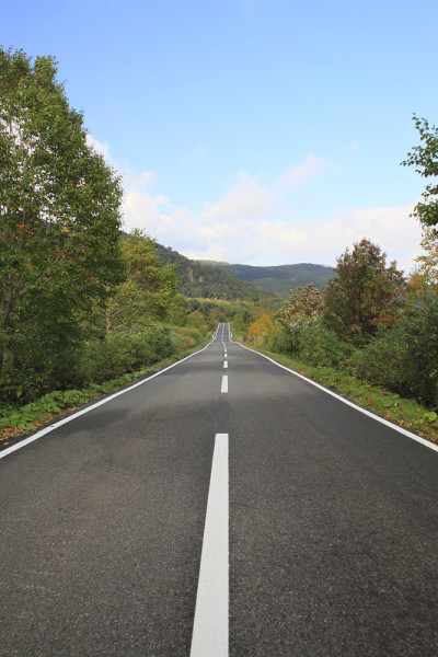 五彩缤纷的树叶和道路