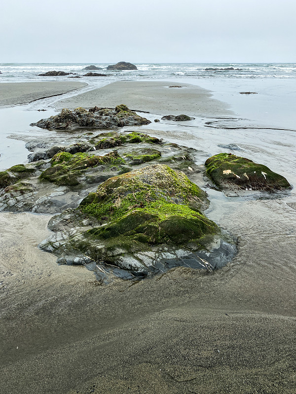 vertical low view of low tide ocean beach with roc