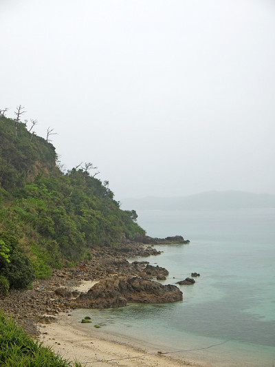 Amami海岸