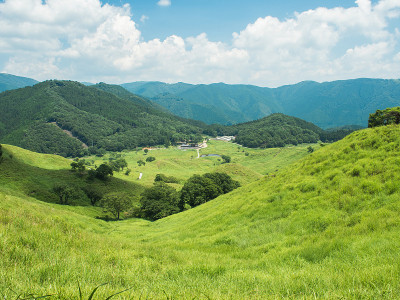 夏天山