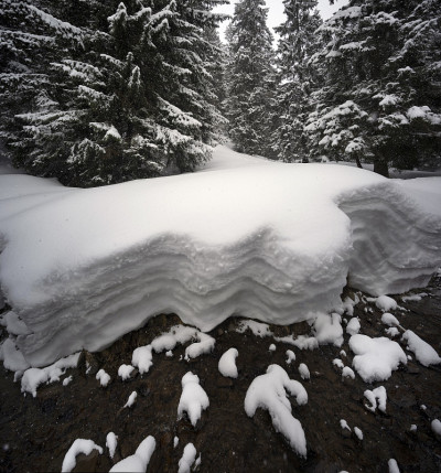 雪岸上的春江