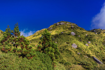 日本鹿儿岛县屋久岛的秋季山景。