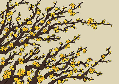 梅花(Chimonanthus praecox)插图