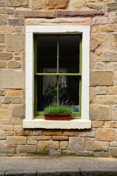 East Neuk House的窗户