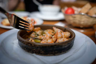 虾的食物