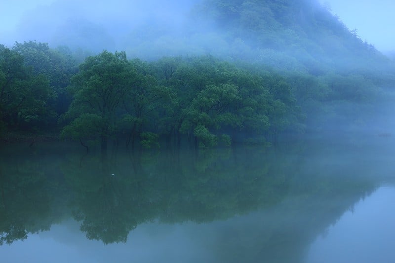 鲜绿湖