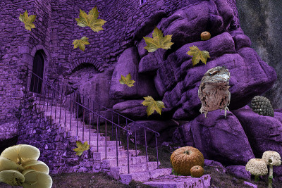 一个秋季主题的梦幻楼梯景观，所有的元素都取自我自己的照片