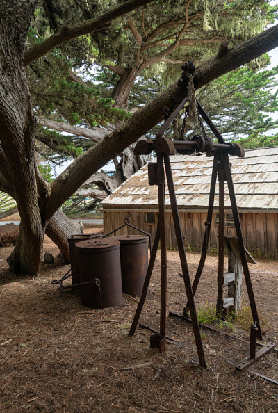 Point Lobos州自然保护区的Halfrs小屋