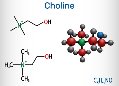 Choline vitamin-like essential nutrien molecule. I